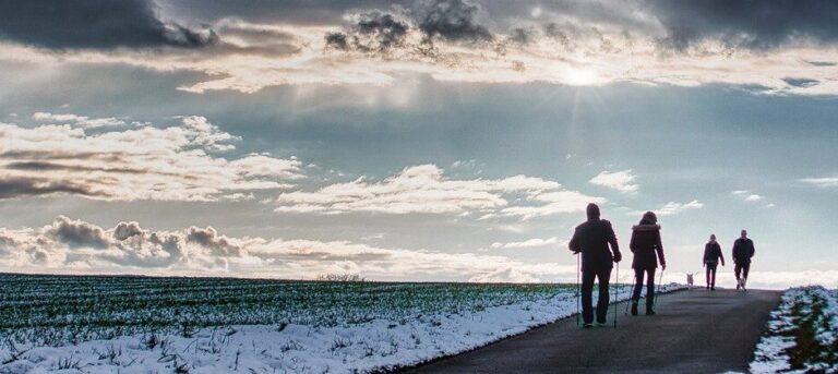 overcast, winter, cloudy day