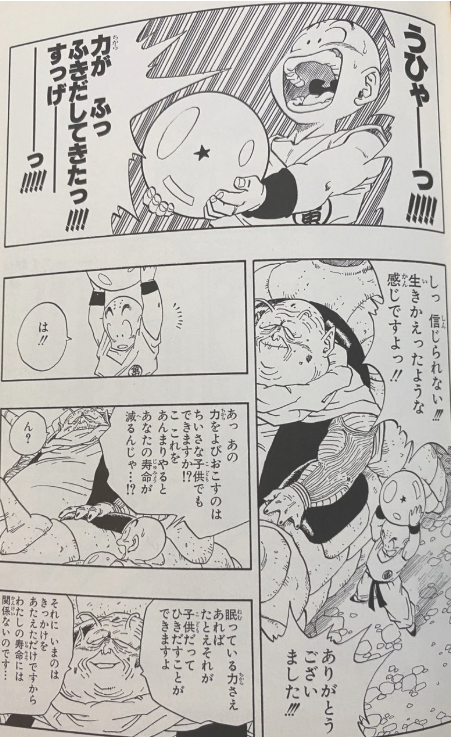 Copyright_dragon-ball_potential2